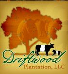 Driftwood Plantation